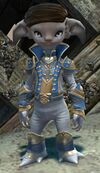 Alliance Field Quartermaster (asura male).jpg