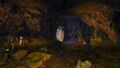 The amber mines.