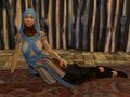 Thumbnail for version as of 05:11, 23 October 2025
