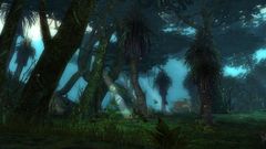 Bard's Valley.jpg