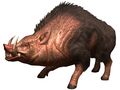 Bestiary Porcine.jpg