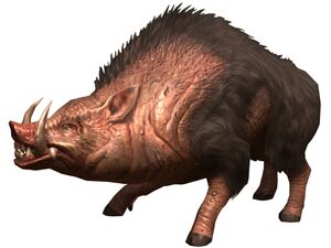 Bestiary Porcine.jpg