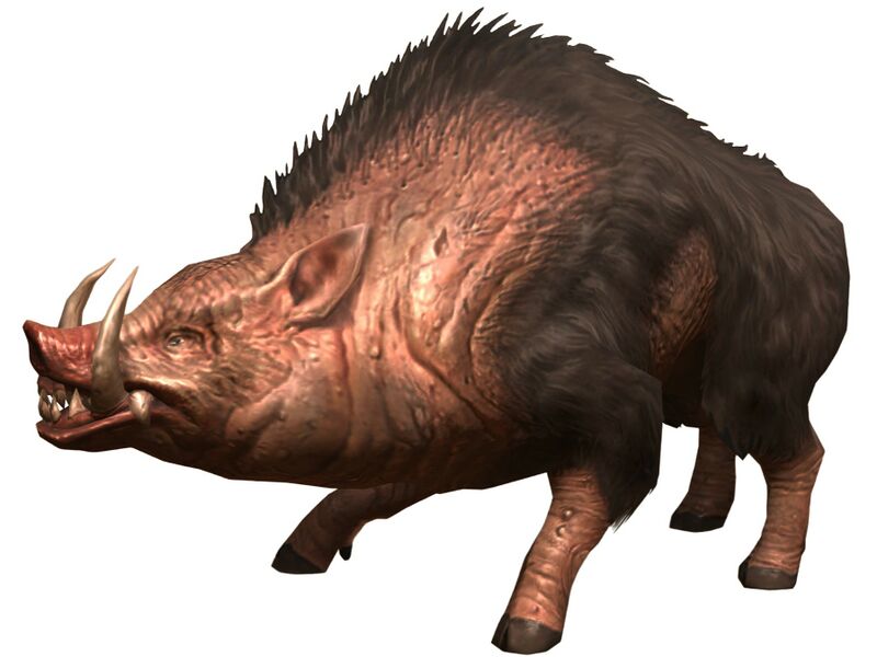 File:Bestiary Porcine.jpg