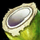 Coconut.png