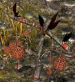 Thumbnail for version as of 01:02, 20 March 2024