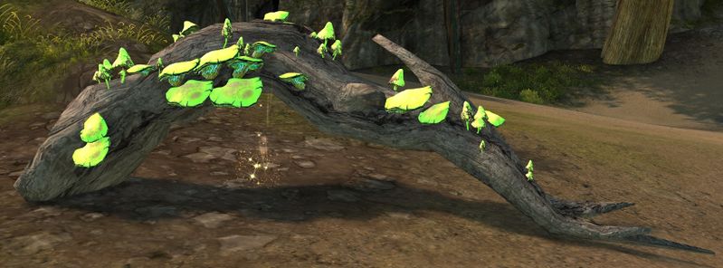 File:Eerie Driftwood.jpg