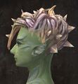 Exclusive hair - sylvari female 5 side1.jpg