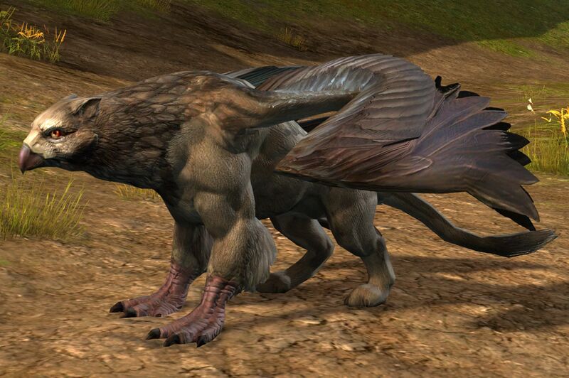 File:Hawkeye Griffon.jpg
