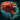 Island Shoulder.png