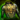 Obsidian Heavy Breastplate.png