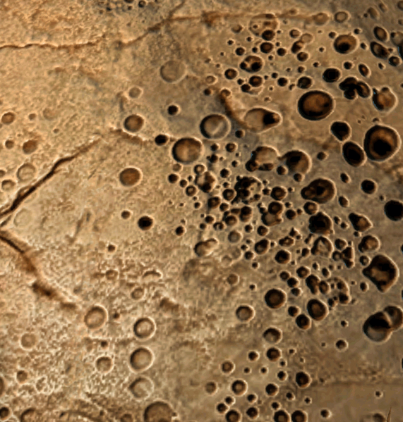 File:User Chieftain Alex texture c.png