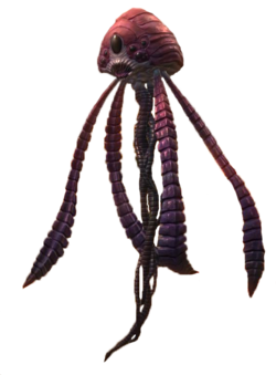 Wind Rider.png