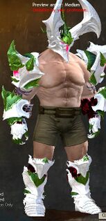 Armor of Dhuum (medium) norn male front.jpg