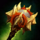 Flame Serpent Mace.png