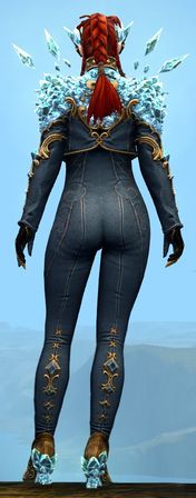 Back view