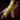 Griffon Claw.png