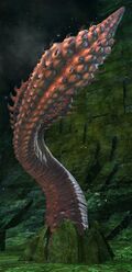Kraken Tentacle.jpg
