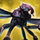 Mini Wasp.png