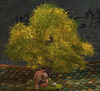 Quiet Woods Chair norn male.jpg