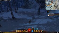 Shadows Creep Quiet Logger.jpg