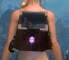Sturdy Jeweler's Backpack.jpg