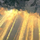Sun's Light.png