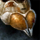 Tiny Husk.png
