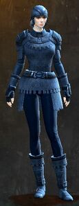 Appearance on heavy armor.