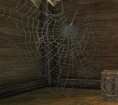 Cobweb.jpg