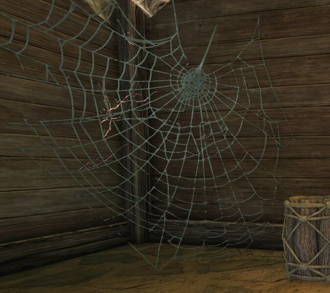 File:Cobweb.jpg