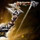 Dragonrender Longbow.png
