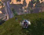 Fantastic Flying Foxes 17 location.jpg