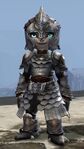 Legendary Defender (asura female).jpg