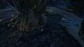 Thumbnail for version as of 20:29, 2 November 2025