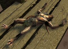 Obstinate Skritt.jpg