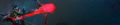 Thumbnail for version as of 04:04, 6 July 2022