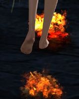 Rodgort footfalls.jpg