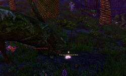 Savior of the Gwyldell 7 location.jpg