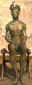 Simple Stool sylvari male.jpg