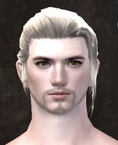 Unique human male hair front 8.jpg