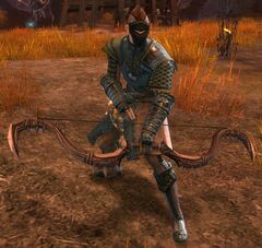 Veteran Ascalonian Archer (human).jpg