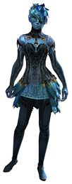 Exemplar Attire Outfit
