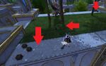 Fantastic Flying Foxes 09 location.jpg