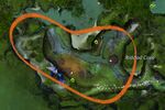 Inquest Pest 8 map.jpg
