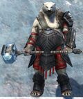 Kodan male 2.jpg