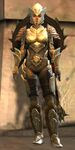 Lionguard norn heavy 2.jpg