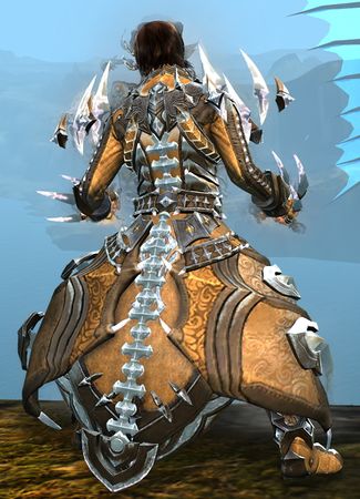Back view in combat stance