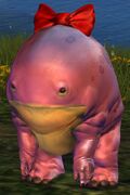 Quaggan Hatchling female.jpg