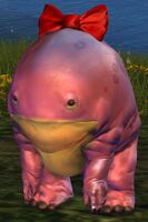 Quaggan Hatchling female.jpg