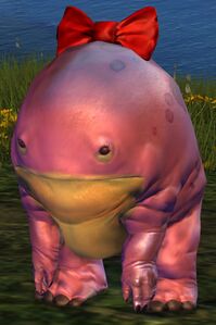 Quaggan Hatchling female.jpg